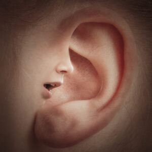 Wat is het verschil tussen horen en luisteren?